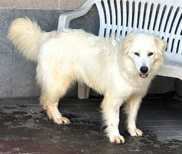 CHIARA MAREMMANA Foto 8